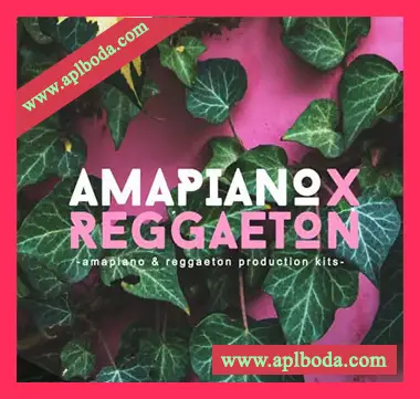 [拉丁雷鬼非洲节奏采样]Samplestar Amapiano X Reggaeton [WAV]（375Mb）