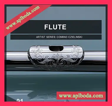 [流行放克长笛采样]Image Sounds Artist Series Conrad Czielinski Flute 01 [WAV]（271Mb）