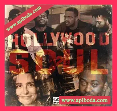 [灵魂RnB采样]Soul Surplus Hollywood Soul Vol. 2 [WAV]（319Mb）