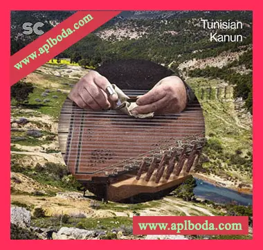 [民族乐器采样]Sonic Collective Tunisian Kanun [WAV]（618Mb）