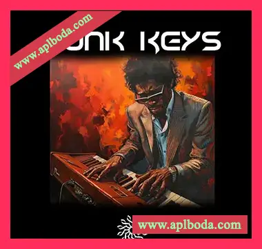 [放克钢琴采样]38 Live Vibes Funk Keys [WAV]（30Mb）