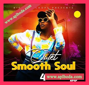[灵魂爵士RnB采样]Big Citi Loops Quiet Smooth Soul 4 [WAV]（47Mb）