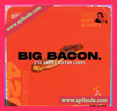 [拉丁RnB陷阱电子舞曲采样]GRAUX The Super Big Black Pack [WAV]（2.33Gb）