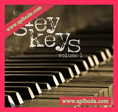 [影视钢琴采样]David Hodges The Grey Keys [WAV]（59Mb）