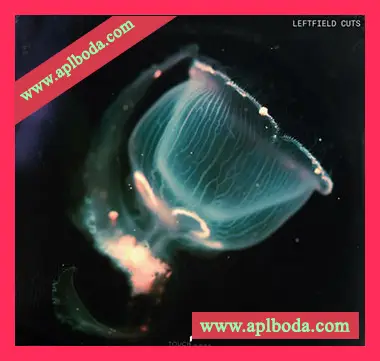 [泰克诺舞曲鼓打贝斯浩室采样]Touch Loops Leftfield Cuts [WAV]（274Mb）