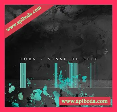 [氛围驰放乐采样]Torn Sense of Self (Sample Pack) [WAV]（333Mb）