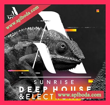 [电子乐深邃浩室素材]Artisan Audio Sunrise Deep House and Electronica [多格式]（694Mb）