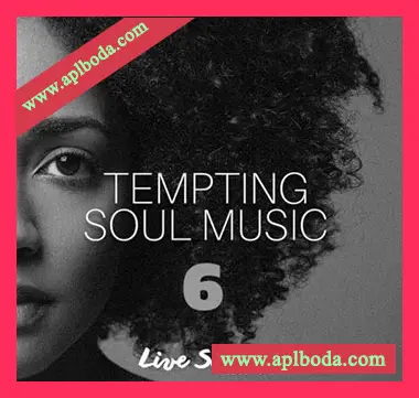 [灵魂RnB采样]Innovative Samples Tempting Soul Music 6 [WAV]（96Mb）