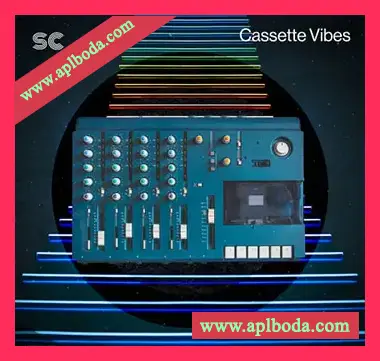 [低保真嘻哈RnB采样]Sonic Collective Cassette Vibes [WAV]（411Mb）