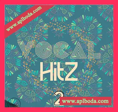 [POP流行人声素材]Roundel Sounds Vocal Hits Vol.2 [WAV, MiDi]（541Mb）