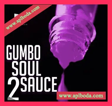 [福音灵魂RnB采样]HOOKSHOW Gumbo Soul Sauce 2 [WAV]（190Mb）