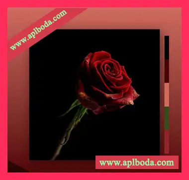 [Trap陷阱采样]MarcDBeats Rose [WAV]（67Mb）