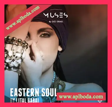 [传统氛围波斯人声采样]Gio Israel Muses Eastern Soul by Lital Gabai [WAV]（657Mb）