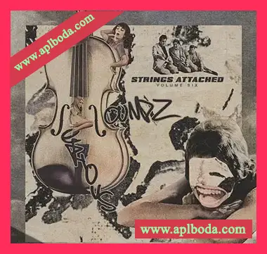 [影视乐采样]V Don Serious Soundz Strings Attached Vol.6 [WAV]（62Mb）