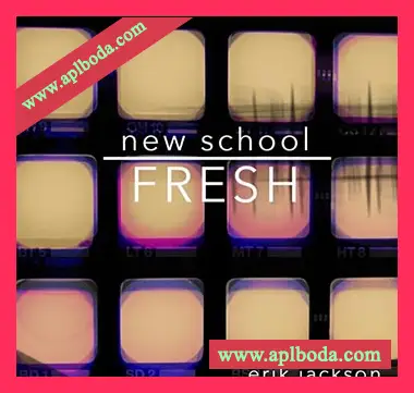 [Synthwave合成器浪潮浩室采样]Erik Jackson New School Fresh [WAV]（361Mb）