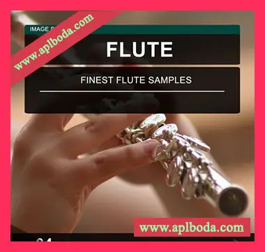[流行民族长笛采样]Image Sounds Flute 04 [WAV]（11Mb）