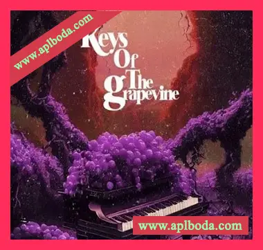 [怀旧钢琴采样]Sound of Milk and Honey Keys of the Grapevine [WAV]（559Mb）