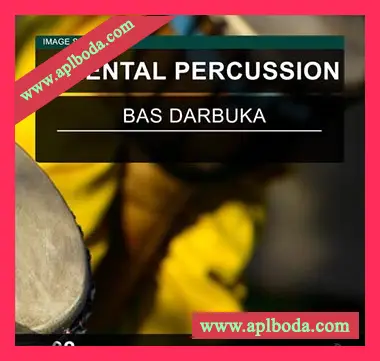 [东方打击乐采样]Image Sounds Oriental Percussion 02 [WAV]（11Mb）