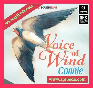 [风之声影视模块化女声独唱音源]Soundiron Voice of Wind Connie v1.0 [KONTAKT]（2.7Gb）