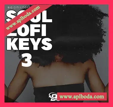 [低保真灵魂RnB采样]Big Citi Loops Soul Lofi Keys 3 [WAV]（258Mb）
