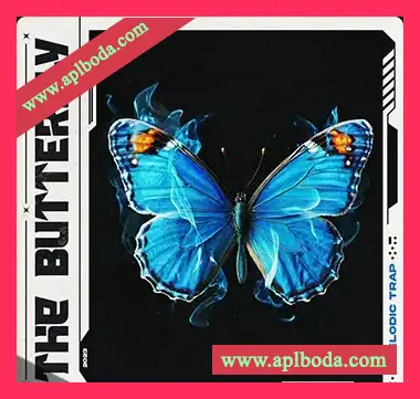[灵魂嘻哈素材]Jerry Martin Beats Butterfly [WAV, MiDi]（284Mb）