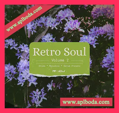 [灵魂慢摇RnB合成波采样Serum预置]Renraku Retro Soul 2（279Mb）