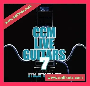 [灵魂RnB现场吉他采样]Innovative Samples CCM Live Guitars 7 [WAV]（126Mb）
