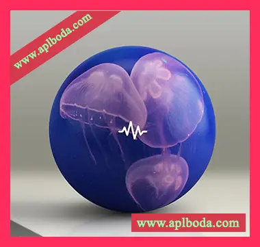 [Dancehall舞曲嘻哈鼓组采样]WavSupply Manso JellyFish (Dancehall Drum Kit) [WAV]（10Mb）