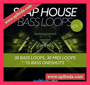 [SlapHouse低音素材]Baltic Audio Slap House Bass Loops Vol.3 [WAV, MiDi]（154Mb）