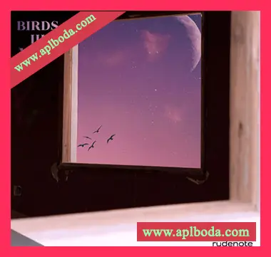 [灵魂RnB采样]Rudenote Birds iii View [WAV]（91Mb）
