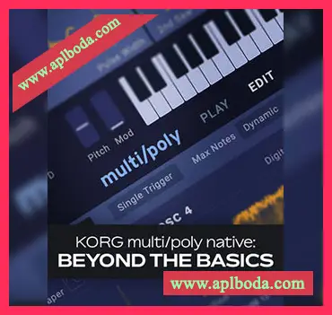 [教程]Groove3 KORG multi Poly Native Beyond the Basics（228Mb）