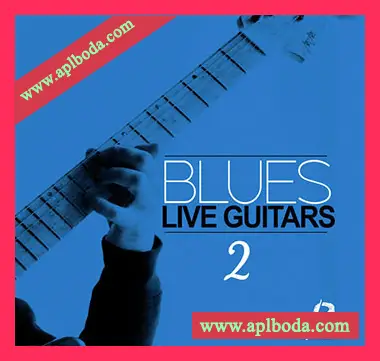 [爵士布鲁斯现场吉他采样]Luigi Production Blues Live Guitars 2 [WAV]（497Mb）