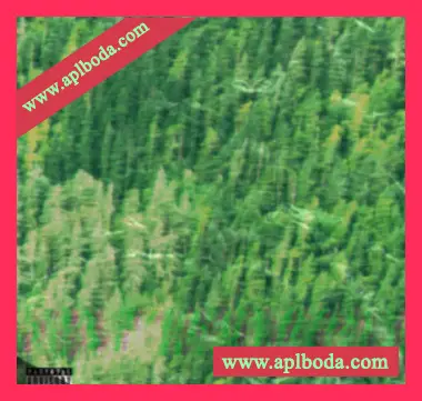 [Trap陷阱鼓组采样]ICE DIGGER Forest Drill Kit [WAV]（21Mb）