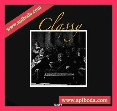[灵魂RnB采样]Eiby CLASSY (Compositions and Stems) [WAV]（195Mb）