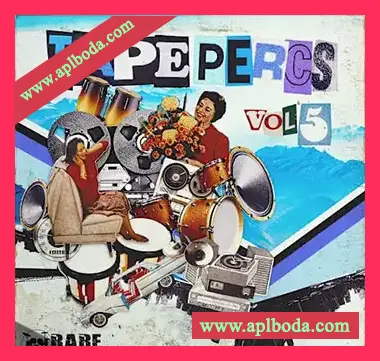 [电影拉丁摩城实验打击乐采样]Rare Percussion Tape Percs Vol.5 [WAV]（254Mb）
