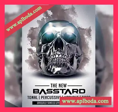 [黑暗震撼FX-低音提琴-打击节奏乐句音源]8Dio Basstard [KONTAKT]（828Mb）