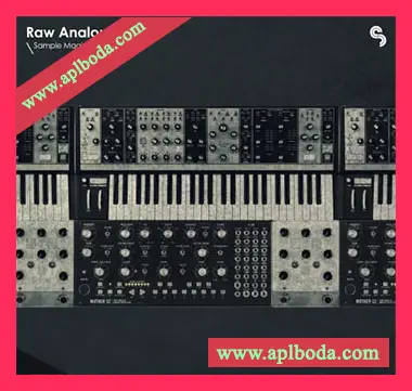 [泰克诺舞曲采样Astra预置Beatmaker预置]Sample Magic Raw Analogue Techno（397Mb）