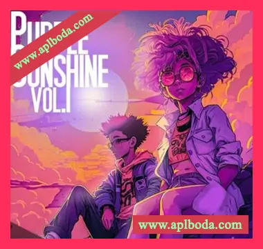 [嘻哈陷阱采样]Sound of Milk and Honey Purple Sunshine Vol.1 [WAV]（1.58Gb）