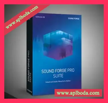 [音频剪辑器]MAGIX Sound Forge Pro Suite v13.0.0.124 [WiN]（967Mb）