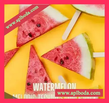 [泰克诺舞曲素材]Innovation Sounds Watermelon – Melodic Techno Sample Pack [WAV, MiDi]（223Mb）