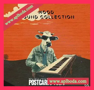 [灵魂陷阱采样]Moo Latte Postcards Vol.5 (Compositions and Stems) [WAV]（904Mb）