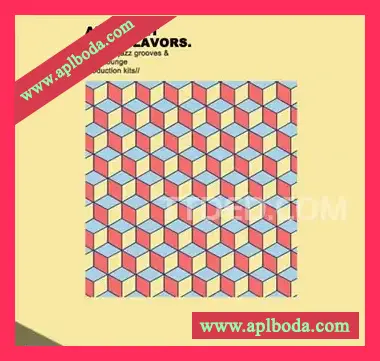 [爵士采样]Samplestar Abstrakt Jazz Flavors [WAV, MiDi]（290.31Mb）