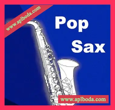 [Pop流行萨克斯采样]Cj Rhen Pop Sax [WAV]（37Mb）