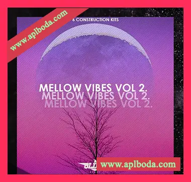 [嘻哈说唱素材]OldyM Beatz Mellow Vibes Vol.2 [WAV, MiDi]（229Mb）