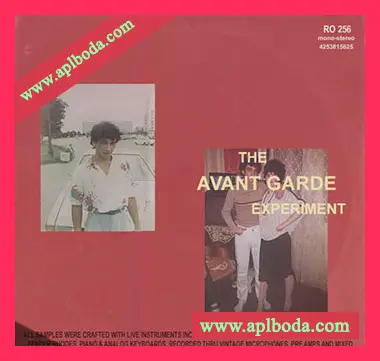[嘻哈说唱采样]Mario Luciano The Avant Garde Experiment (Compositions and Stems) [WAV]（523Mb）