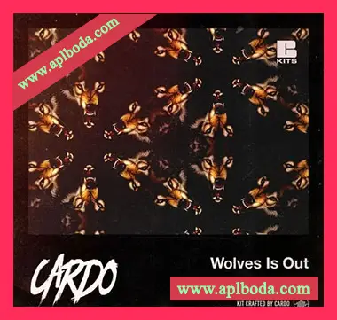 [嘻哈说唱采样]Cardo Wolves Is Out Vol.1 [WAV]（96Mb）
