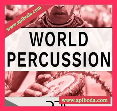 [民族打击乐采样]Deep Data Loops World Percussion [WAV]（919Mb）