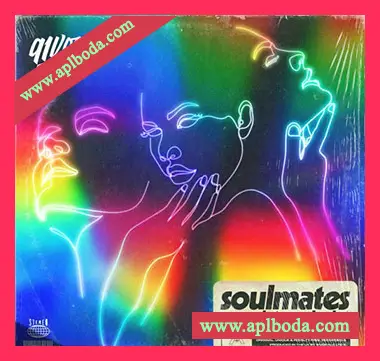 [怀旧乐采样]91Vocals Soulmates Vintage Classics [WAV]（989Mb）