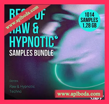 [泰克诺舞曲采样]SINEE Best of Raw and Hypnotic Techno Sample Bundle [WAV]（781Mb）