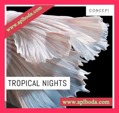 [流行休闲热带舞曲浩室采样]Concept Samples Tropical Nights [WAV]（191Mb）
